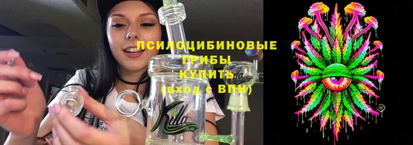 бошки Бронницы